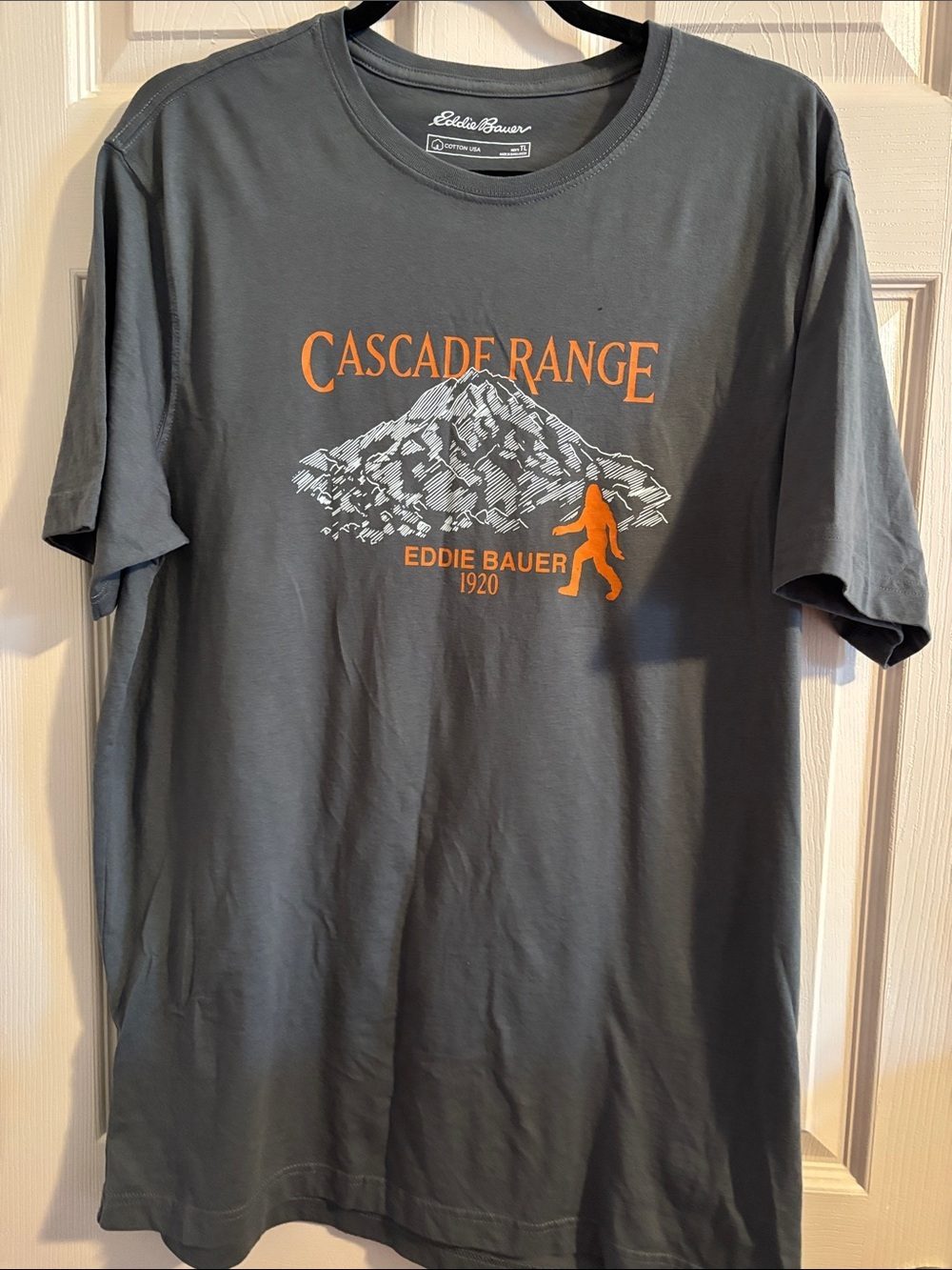 Eddie Bauer Charcoal Short-Sleeve Cascade Range Graphic Tee with Orange Print